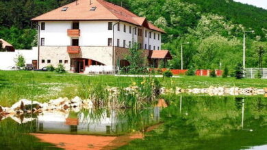 Kutyabarát wellness szállodák – szállás tippek