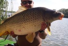 Vízparti kutyabarát szállás – szállás tippek