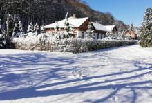 Parva Foresta Apartman Miskolc 