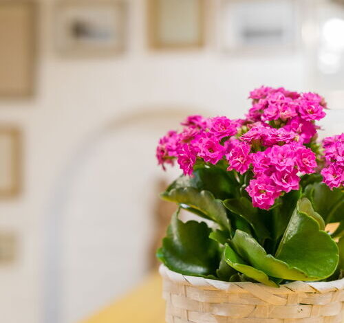 Ádám Apartman Balatonföldvár 