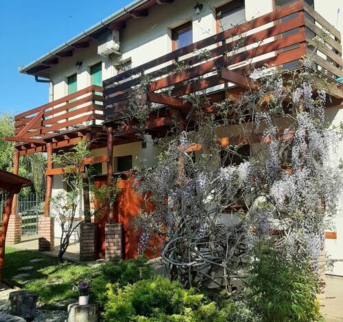 Aqua Apartman Gyula 