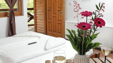 Aréna Kemping & Vendégház Hostel Budapest 