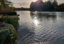 Árnyas Part Vendégház Gyomaendrőd