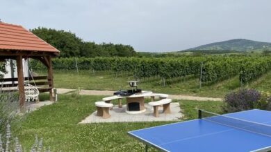 Balatoni Krokodil Vendégház Nemesvita