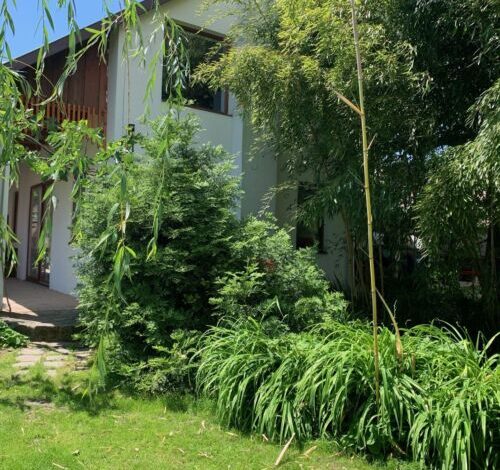 Bambuszkert Vendégház Kisoroszi 