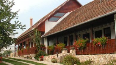 Bodrogparti Vendégház Bodrogolaszi