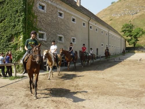 Capári Lovasiskola Sümeg 