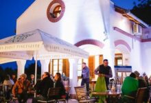 Diófa Panzió & Bisztró Villány 