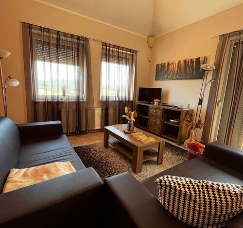 Dunai Panorámás Apartman Dunaszentmiklóson 