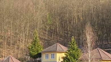 Erdőszéli Vendégház Újhuta 