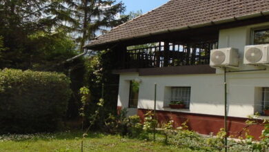 Family Apartman Berekfürdő