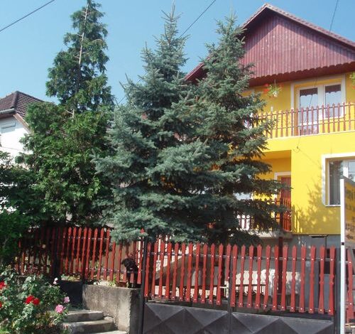 Fenyő Vendégház Egerszalók 