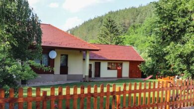 Forest Luxury Apartman Dorogháza 