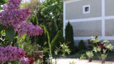 Granarius Udvarház Dörgicse 