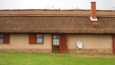 Gyémánt Lovastanya Bugac 