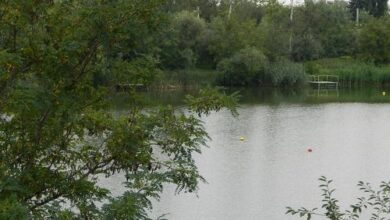 Harcsa Apartman Szolnok 