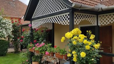 Iskolakert Apartman Sárospatak 