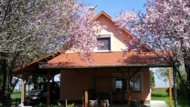 Kamilla Vízparti Nyaraló Gyomaendrőd 