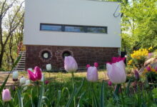 Káptalanfüred Apartman Balatonalmádi