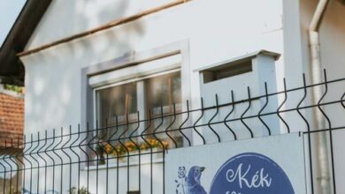 Kék Madár Vendégház Padár