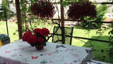 Körösparti Pihenő Gyula 