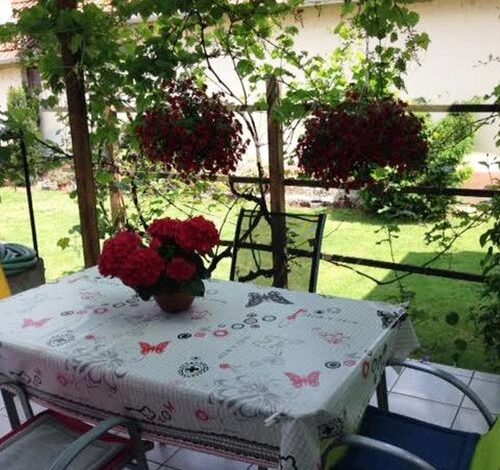 Körösparti Pihenő Gyula 