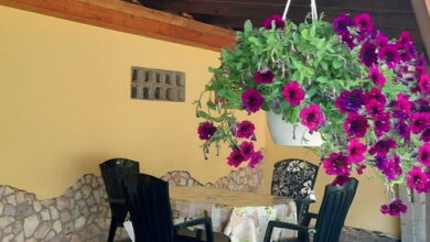 Krisz Apartman Gyula  