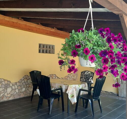 Krisz Apartman Gyula  