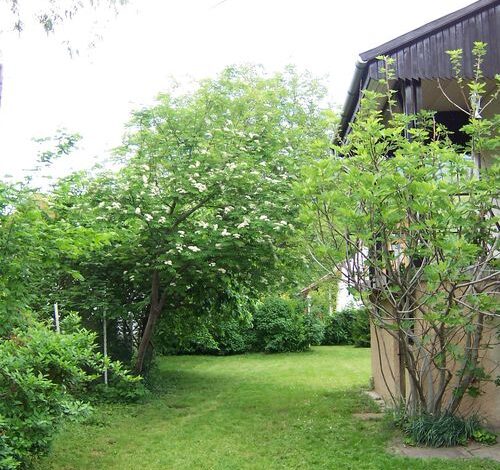 Laura Apartman Badacsony 