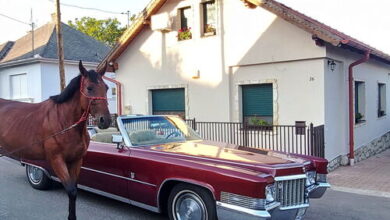 Lórájder Vendégház Szilvásvárad 