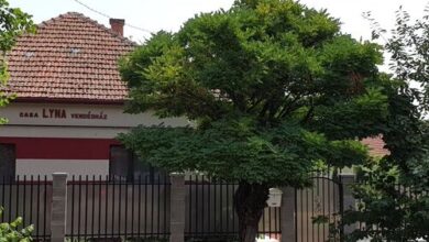 Lyna Vendégház Gyomaendrőd 