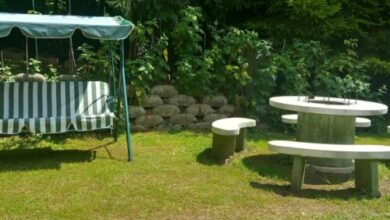 Mecsek Apartment Pécs 