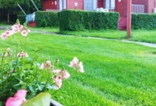 Mecsek Virágai Lak Apartman Magyarhertelend 