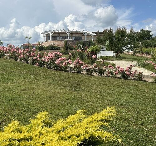 Merlot Borhotel és Látványpince Edelény 