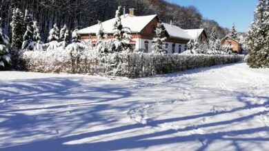 Parva Foresta Apartman Miskolc 