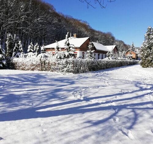 Parva Foresta Apartman Miskolc 