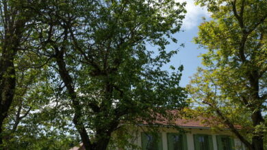 Pomper Porta Vendégház Kisrákos