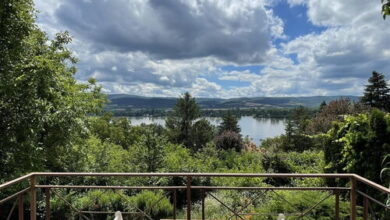 Repülőhal Apartmanház Zebegény