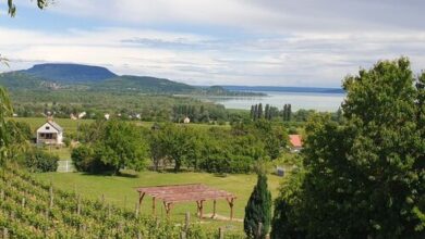 Szabó Pince Vendégház Balatonederics 