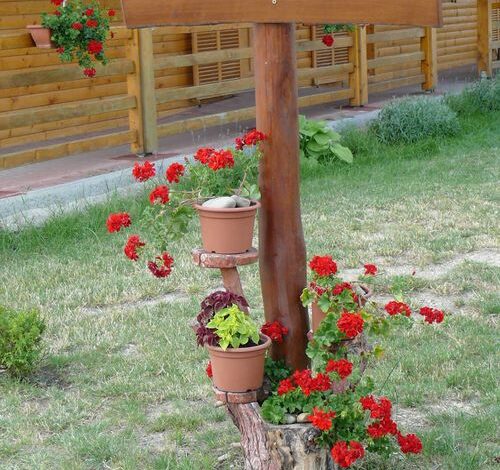 Százszorszép Vendégház Szigetbecse 