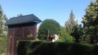 Szitakötő Vendégház Bucsa 