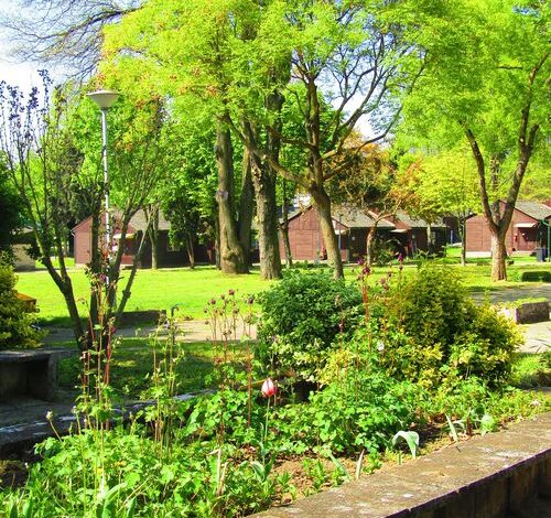 Velencei Sporttábor és Diákszálló 