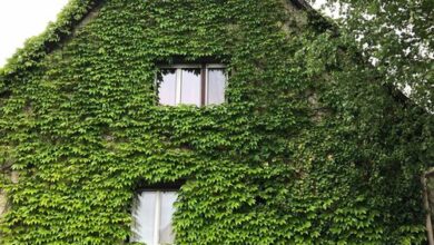 Veranda Apartman Nyíregyháza 