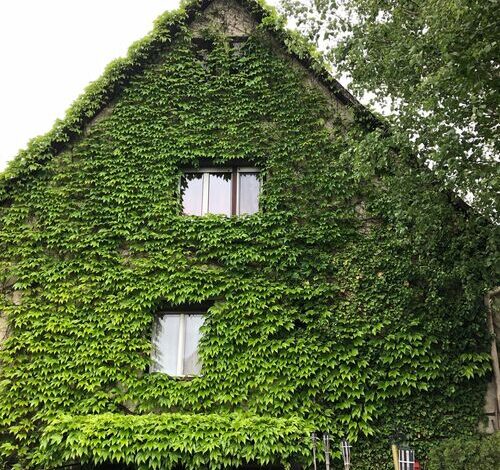 Veranda Apartman Nyíregyháza 