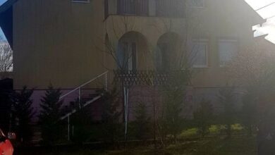 Zea Apartman Hegykő 