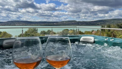 Zsolna Apartman Balatonfűzfő 