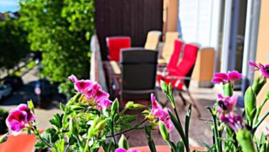 100 lépés Apartman Harkány 