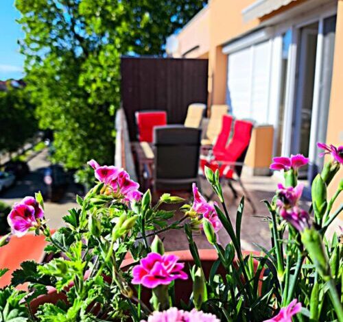 100 lépés Apartman Harkány 