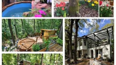 3SIDE Dunakanyar Kismaros Erdei Vendégház 