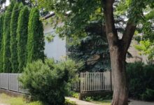 48-as Vendégház Gyopárosfürdő 